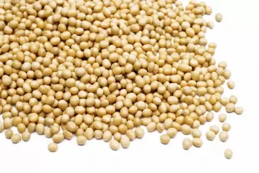 Soybean-Sterols