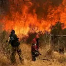 Incendios: Javier Milei viaja de urgencia a Crdoba en medio de cuatro focos activos y "riesgo extremo"